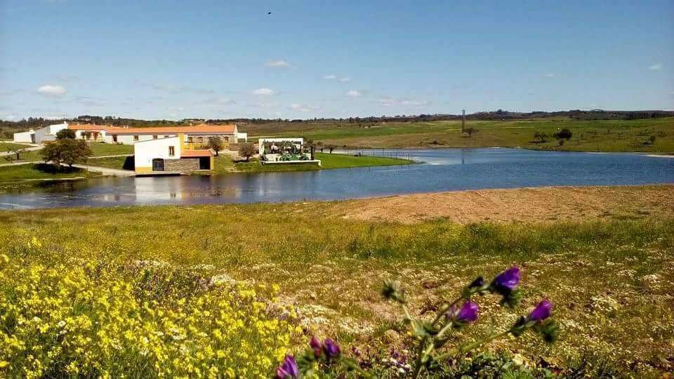 Hunting accommodation