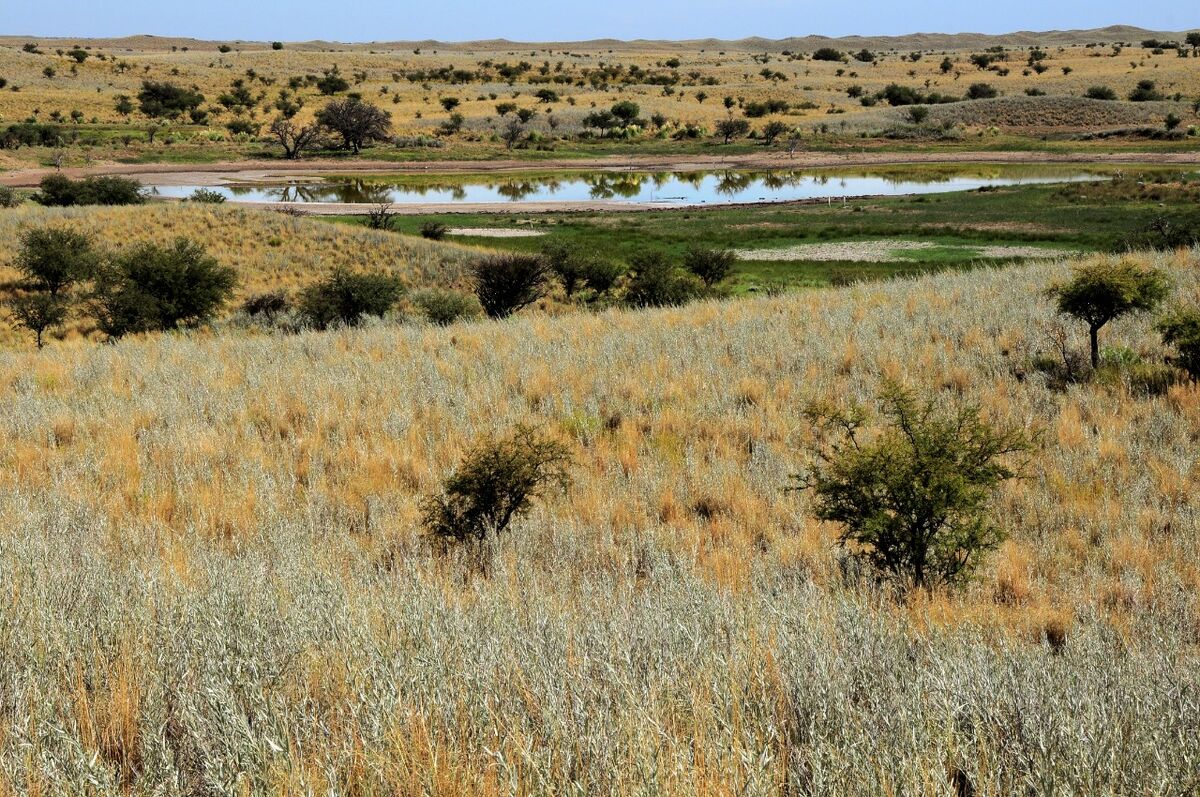 Hunting accommodation