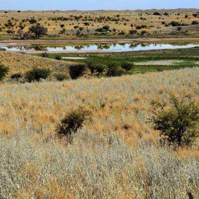 Hunting accommodation