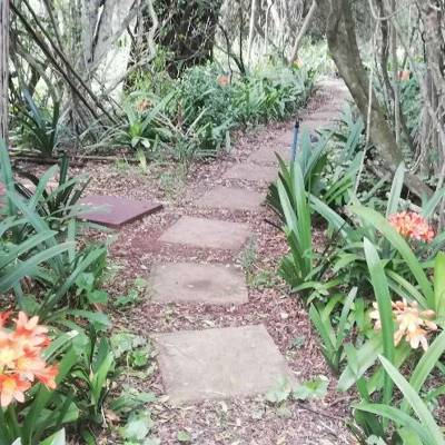 Hunting accommodation