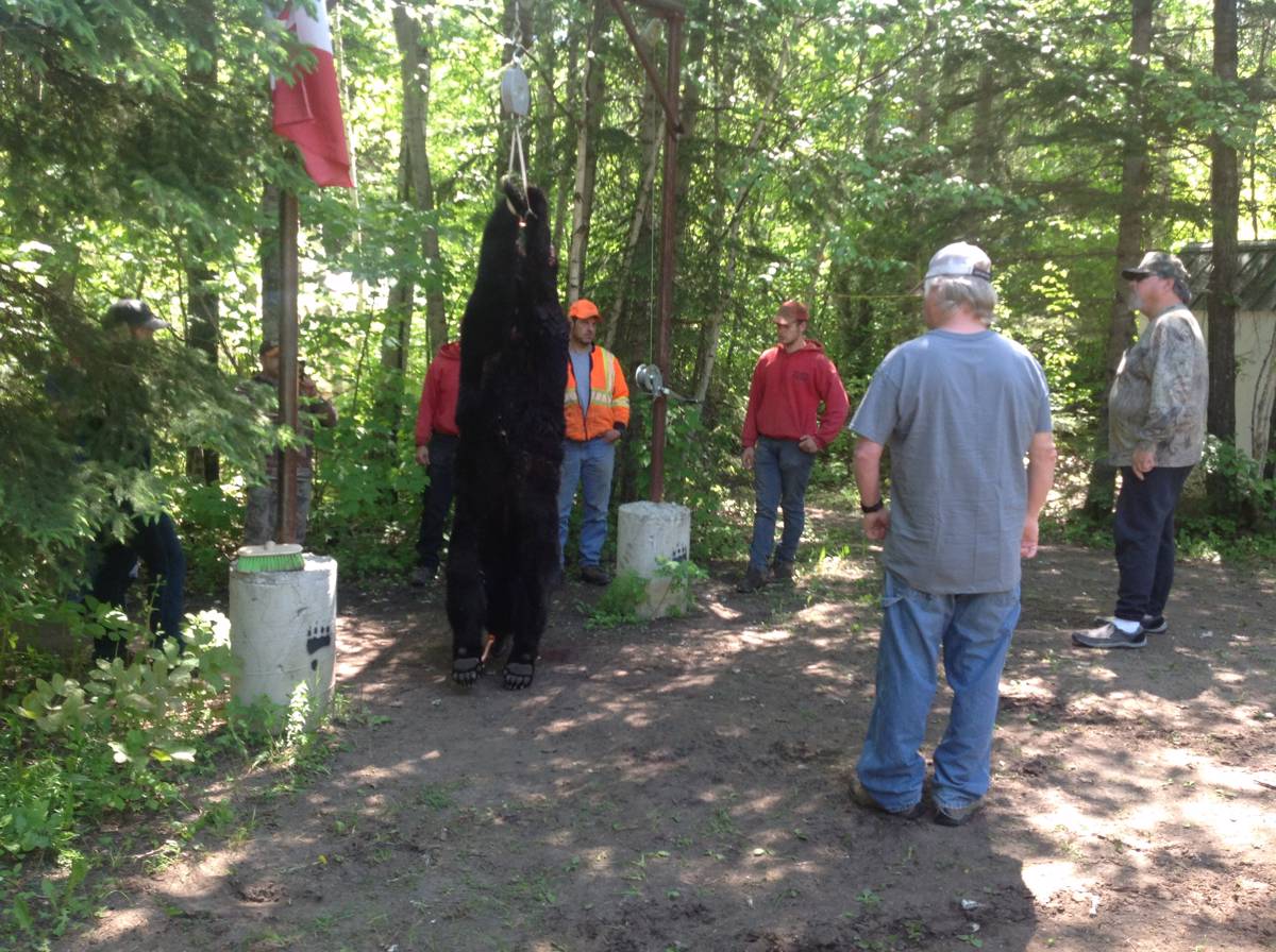 Hunting accommodation