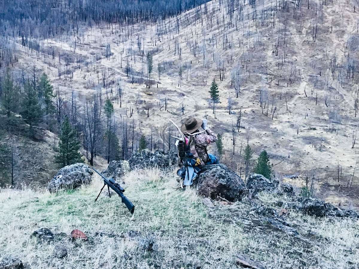 Hunting accommodation