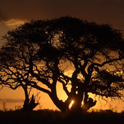 Hunting accommodation