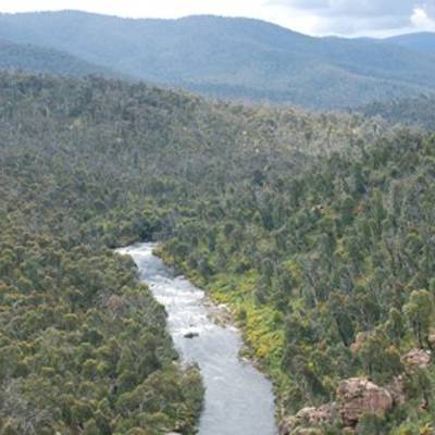 Hunting accommodation