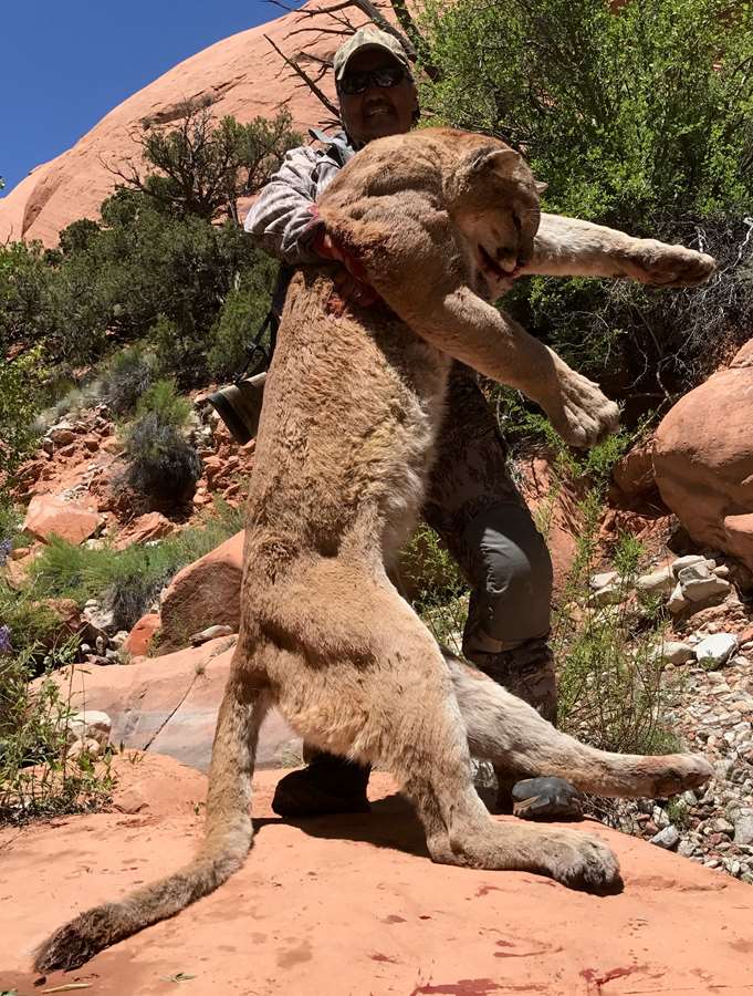 Hunting accommodation