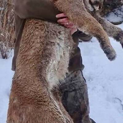 Hunting accommodation