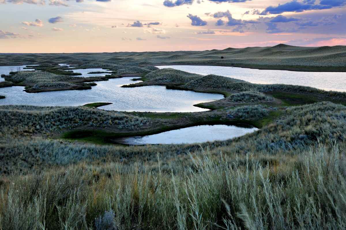 Hunting accommodation