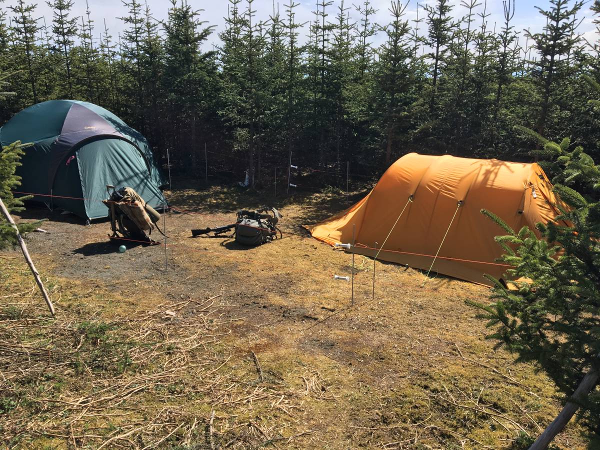 Hunting accommodation