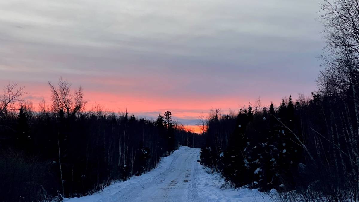 Hunting accommodation