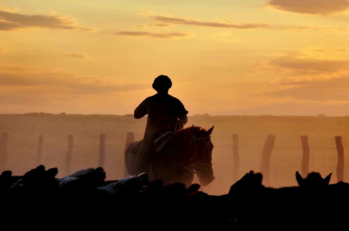 Hunting accommodation
