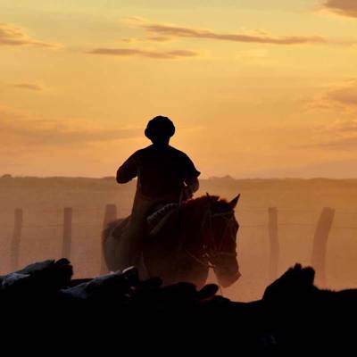 Hunting accommodation