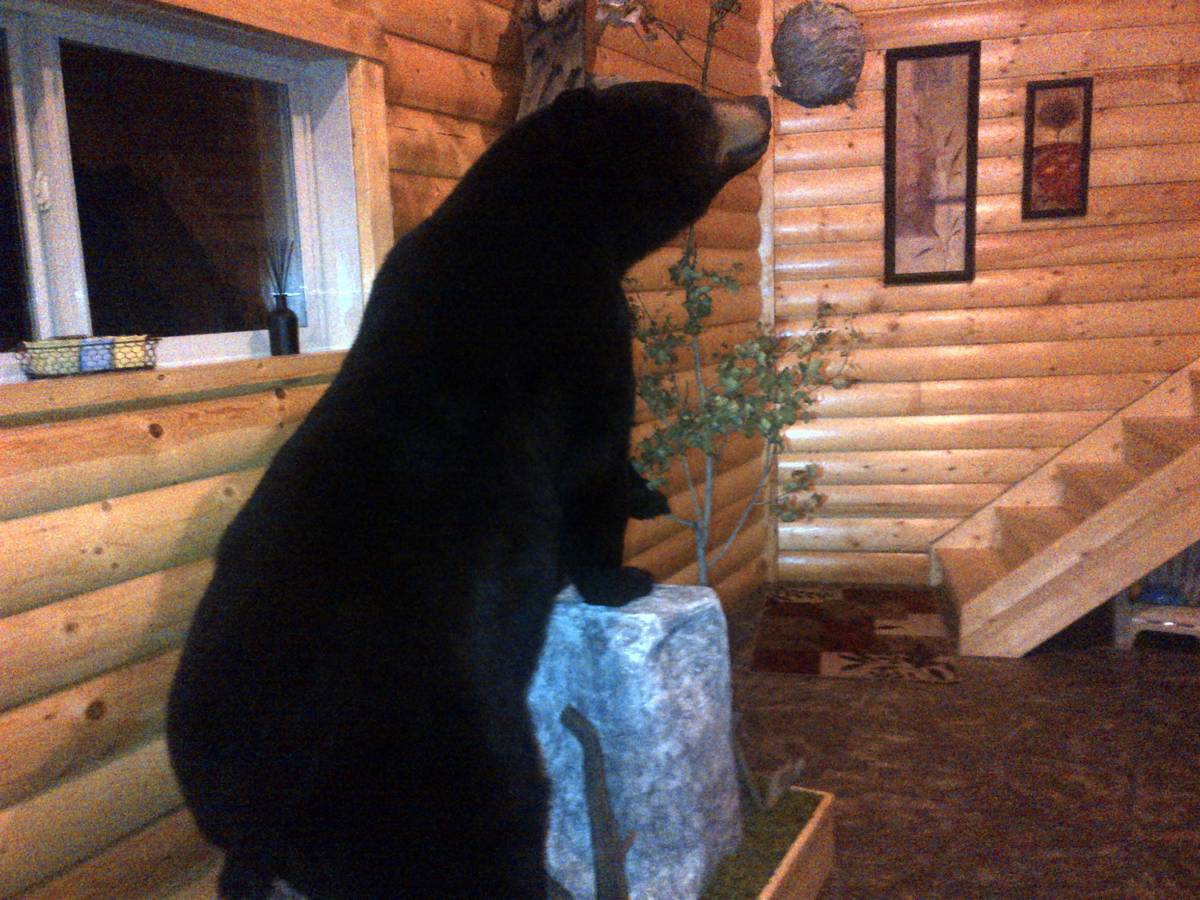 Hunting accommodation