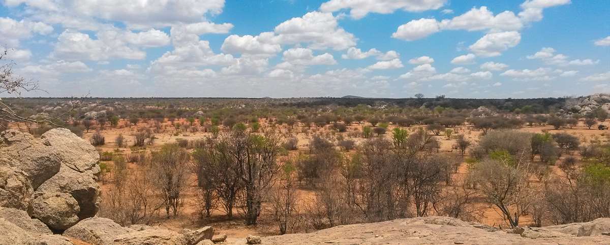 Hunting accommodation