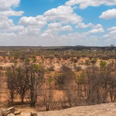 Hunting accommodation