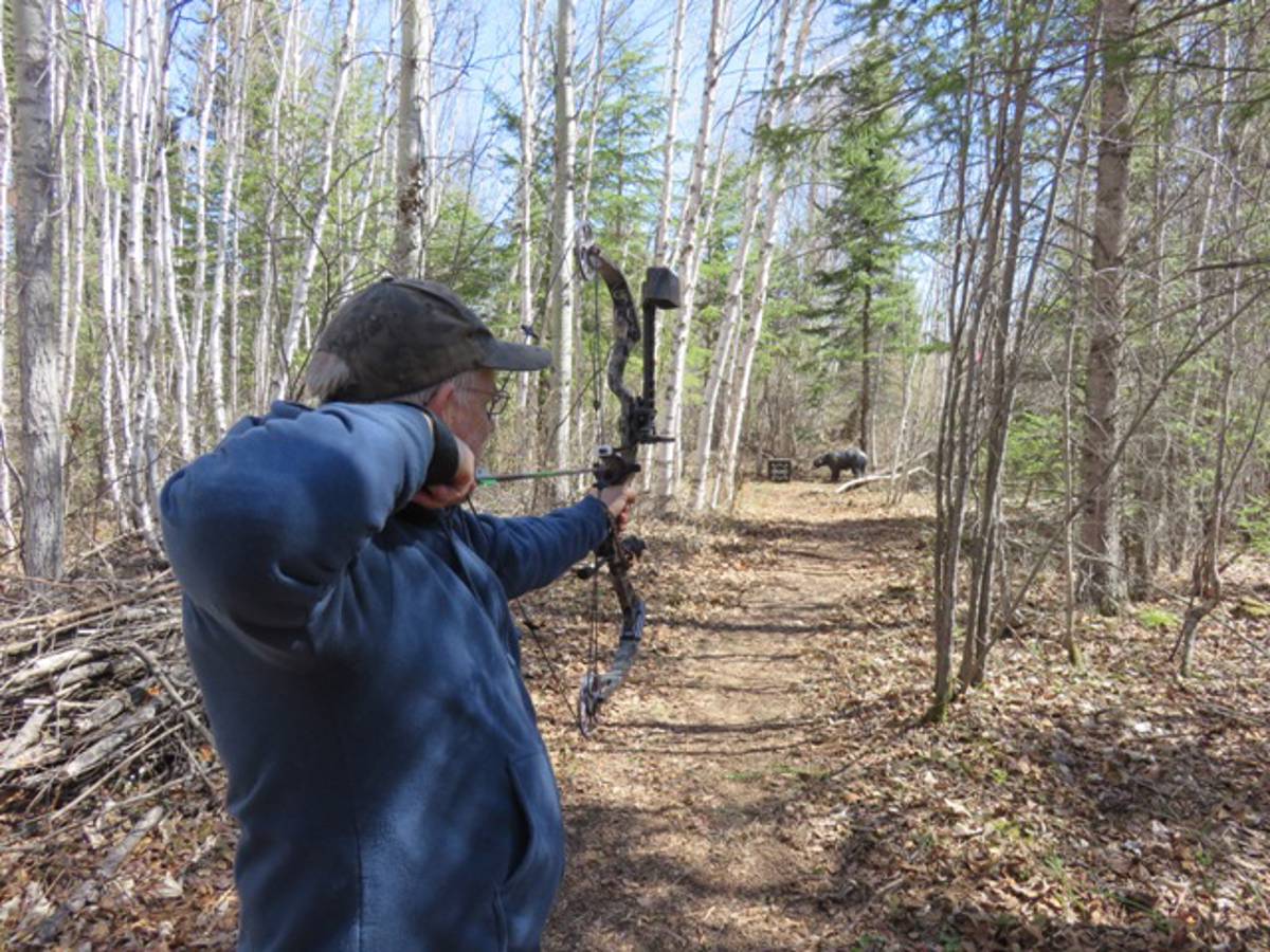 Hunting accommodation