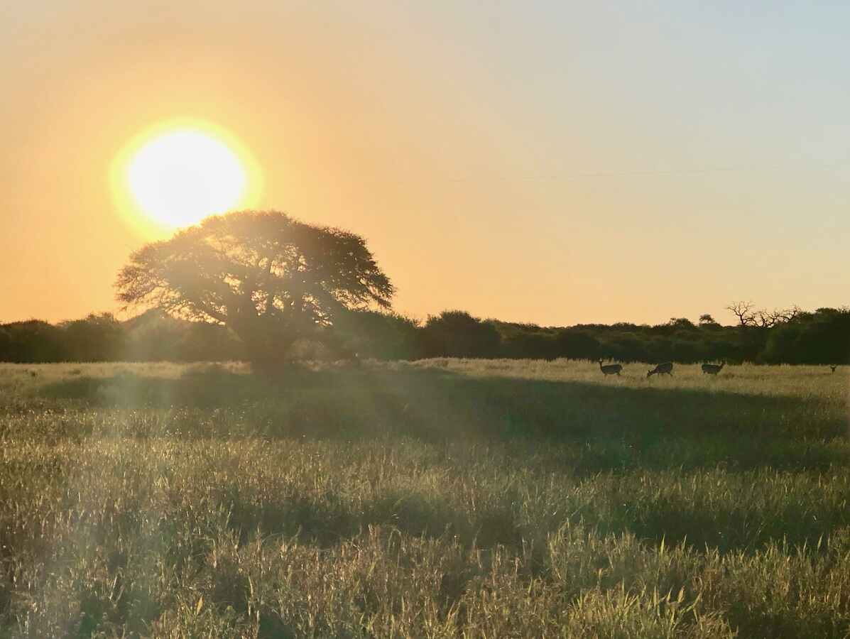 Hunting accommodation